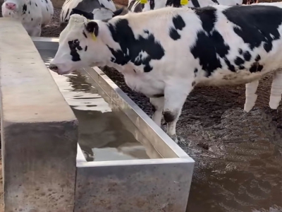 養殖場如何選購合適的恒溫飲水槽